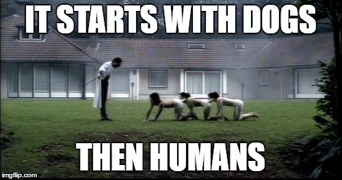 IT STARTS WITH DOGS THEN HUMANS | made w/ Imgflip meme maker