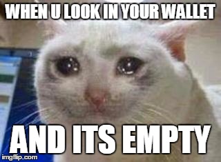 Sad cat |  WHEN U LOOK IN YOUR WALLET; AND ITS EMPTY | image tagged in sad cat | made w/ Imgflip meme maker