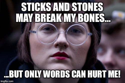 SJW | STICKS AND STONES MAY BREAK MY BONES... ...BUT ONLY WORDS CAN HURT ME! | image tagged in sjw | made w/ Imgflip meme maker