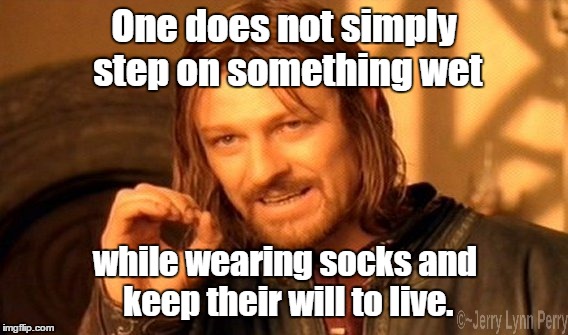 Oh the humanity... | One does not simply step on something wet; while wearing socks and keep their will to live. | image tagged in memes,one does not simply,wet socks | made w/ Imgflip meme maker