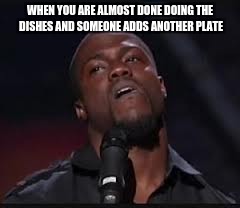 Kevin Hart | WHEN YOU ARE ALMOST DONE DOING THE DISHES AND SOMEONE ADDS ANOTHER PLATE | image tagged in kevin hart | made w/ Imgflip meme maker