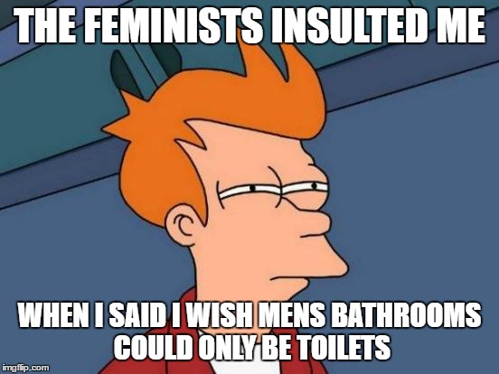 Futurama Fry Meme | THE FEMINISTS INSULTED ME WHEN I SAID I WISH MENS BATHROOMS COULD ONLY BE TOILETS | image tagged in memes,futurama fry | made w/ Imgflip meme maker