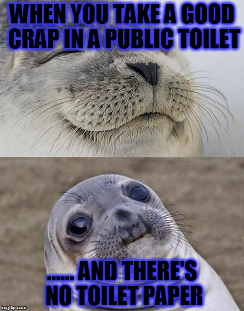 Short Satisfaction VS Truth Meme | WHEN YOU TAKE A GOOD CRAP IN A PUBLIC TOILET; ...... AND THERE'S NO TOILET PAPER | image tagged in memes,short satisfaction vs truth | made w/ Imgflip meme maker