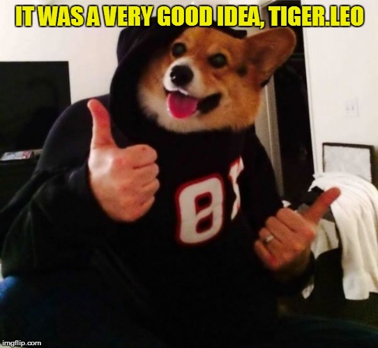 IT WAS A VERY GOOD IDEA, TIGER.LEO | made w/ Imgflip meme maker