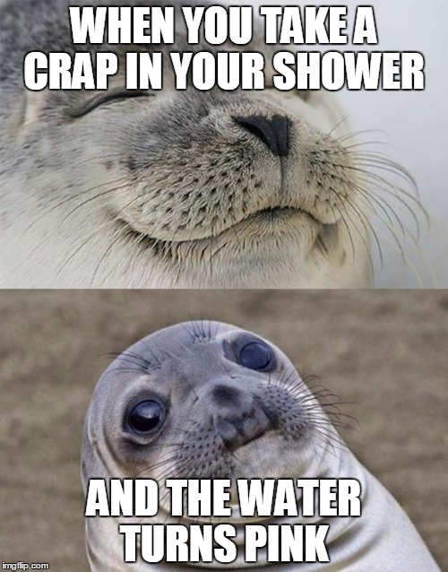 Short Satisfaction VS Truth Meme | WHEN YOU TAKE A CRAP IN YOUR SHOWER; AND THE WATER TURNS PINK | image tagged in memes,short satisfaction vs truth | made w/ Imgflip meme maker