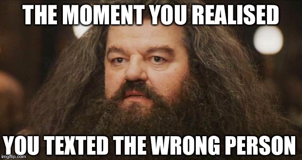 Hagrid | THE MOMENT YOU REALISED; YOU TEXTED THE WRONG PERSON | image tagged in hagrid | made w/ Imgflip meme maker