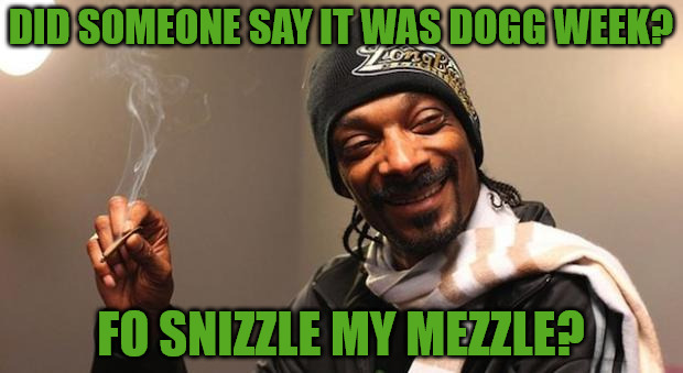 Dog Week - A tiger.leo Event - April 10-16 | DID SOMEONE SAY IT WAS DOGG WEEK? FO SNIZZLE MY MEZZLE? | image tagged in snoop dogg,dog week,snoop dog,theme week,tigerleo | made w/ Imgflip meme maker