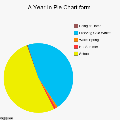 A Year in Pie Chart form | image tagged in funny,pie charts | made w/ Imgflip chart maker