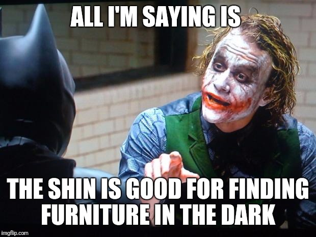 Can We At least Agree On This Batman | ALL I'M SAYING IS; THE SHIN IS GOOD FOR FINDING FURNITURE IN THE DARK | image tagged in the joker,funny,memes | made w/ Imgflip meme maker