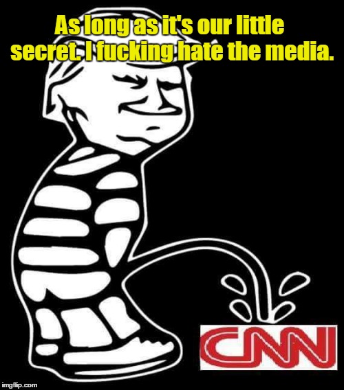 1hir72.jpg | As long as it's our little secret. I f**king hate the media. | image tagged in 1hir72jpg | made w/ Imgflip meme maker