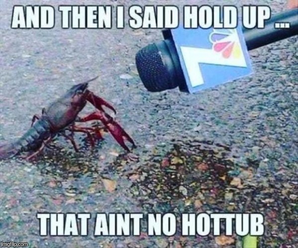 Breaking News Channel 7 | Y | image tagged in memes,news,breaking news | made w/ Imgflip meme maker