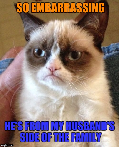Grumpy Cat Meme | SO EMBARRASSING HE'S FROM MY HUSBAND'S SIDE OF THE FAMILY | image tagged in memes,grumpy cat | made w/ Imgflip meme maker