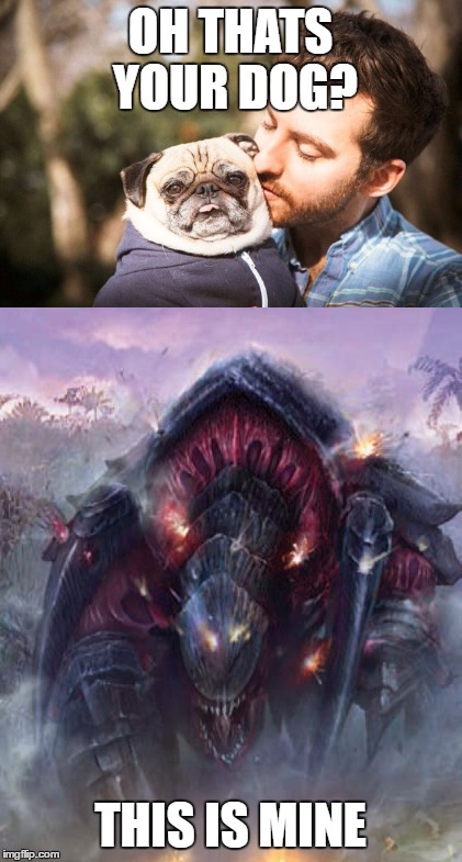 Helping With The Dog Memes | OH THATS YOUR DOG? THIS IS MINE | image tagged in dog,tyranid,warhammer40k | made w/ Imgflip meme maker