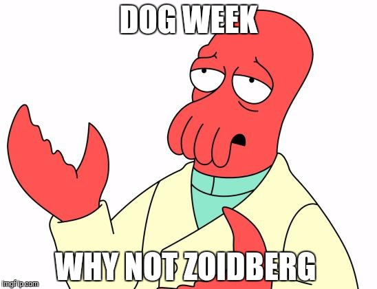 Why not zoidberg week |  DOG WEEK; WHY NOT ZOIDBERG | image tagged in memes,futurama zoidberg,funny,dog week | made w/ Imgflip meme maker