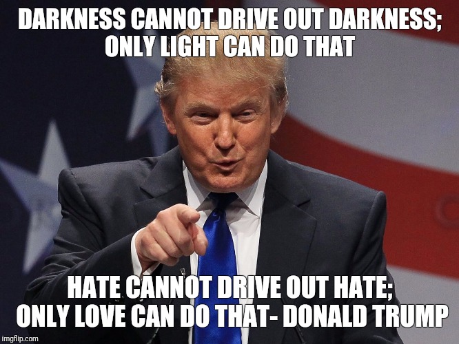 Donald trump | DARKNESS CANNOT DRIVE OUT DARKNESS; ONLY LIGHT CAN DO THAT; HATE CANNOT DRIVE OUT HATE; ONLY LOVE CAN DO THAT- DONALD TRUMP | image tagged in donald trump | made w/ Imgflip meme maker