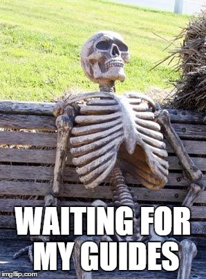 Waiting Skeleton Meme | WAITING FOR MY GUIDES | image tagged in memes,waiting skeleton | made w/ Imgflip meme maker