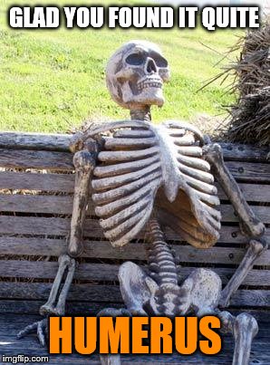 Waiting Skeleton Meme | GLAD YOU FOUND IT QUITE HUMERUS | image tagged in memes,waiting skeleton | made w/ Imgflip meme maker