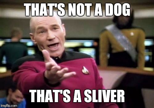 Picard Wtf Meme | THAT'S NOT A DOG THAT'S A SLIVER | image tagged in memes,picard wtf | made w/ Imgflip meme maker