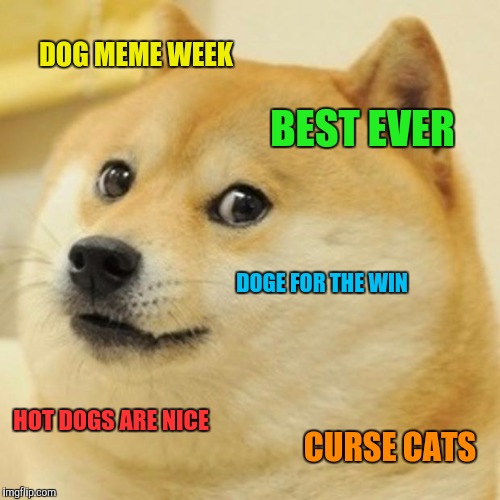 Dog meme week  | DOG MEME WEEK; BEST EVER; DOGE FOR THE WIN; HOT DOGS ARE NICE; CURSE CATS | image tagged in memes,doge,dog week | made w/ Imgflip meme maker