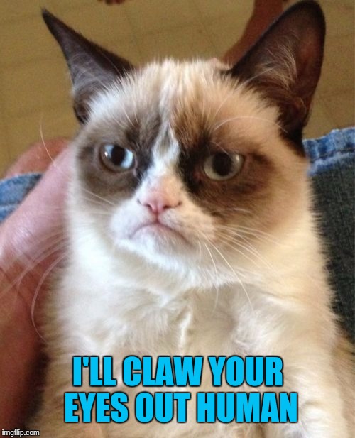 Grumpy Cat Meme | I'LL CLAW YOUR EYES OUT HUMAN | image tagged in memes,grumpy cat | made w/ Imgflip meme maker