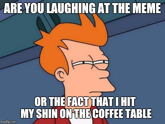 Futurama Fry Meme | ARE YOU LAUGHING AT THE MEME OR THE FACT THAT I HIT MY SHIN ON THE COFFEE TABLE | image tagged in memes,futurama fry | made w/ Imgflip meme maker