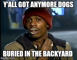 Y'all Got Any More Of That Meme | Y'ALL GOT ANYMORE DOGS BURIED IN THE BACKYARD | image tagged in memes,yall got any more of | made w/ Imgflip meme maker