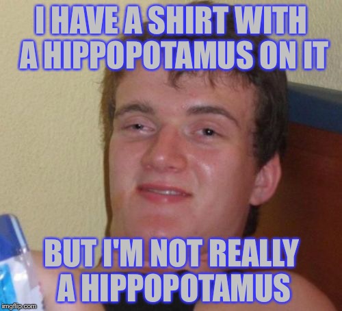 10 Guy Meme | I HAVE A SHIRT WITH A HIPPOPOTAMUS ON IT BUT I'M NOT REALLY A HIPPOPOTAMUS | image tagged in memes,10 guy | made w/ Imgflip meme maker