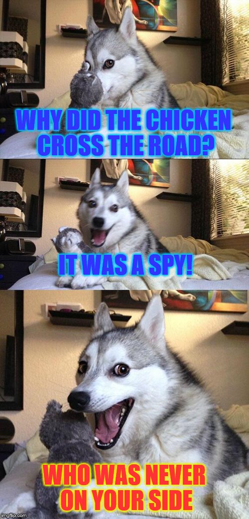 Bad Pun Dog Meme | WHY DID THE CHICKEN CROSS THE ROAD? IT WAS A SPY! WHO WAS NEVER ON YOUR SIDE | image tagged in memes,bad pun dog | made w/ Imgflip meme maker