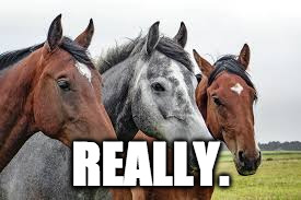 Horses, really.   | REALLY. | image tagged in music theory | made w/ Imgflip meme maker