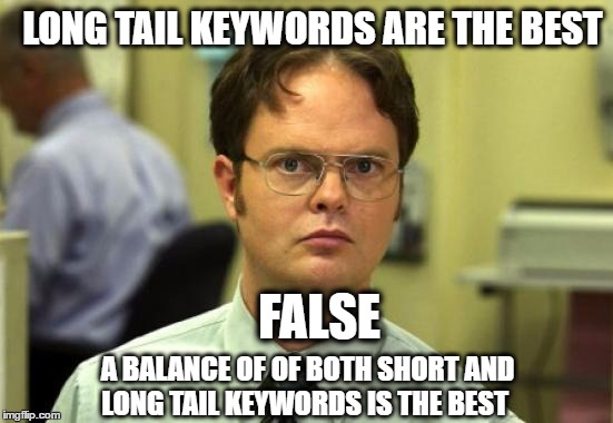 Dwight Schrute Meme | LONG TAIL KEYWORDS ARE THE BEST; FALSE; A BALANCE OF OF BOTH SHORT AND LONG TAIL KEYWORDS IS THE BEST | image tagged in memes,dwight schrute | made w/ Imgflip meme maker