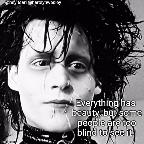 @heyitsari
@harolynwesley; Everything has beauty, but some people are too blind to see it. | image tagged in edward's beauty | made w/ Imgflip meme maker