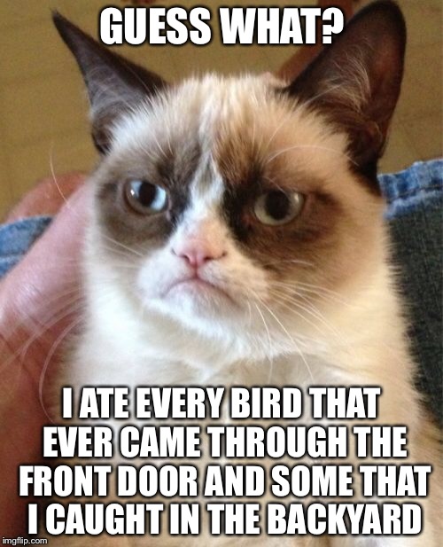 Grumpy Cat Meme | GUESS WHAT? I ATE EVERY BIRD THAT EVER CAME THROUGH THE FRONT DOOR AND SOME THAT I CAUGHT IN THE BACKYARD | image tagged in memes,grumpy cat | made w/ Imgflip meme maker