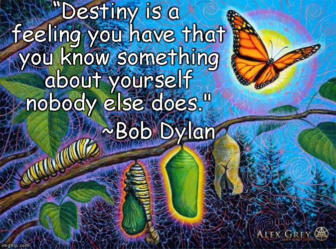 Caterpillar To Butterfly | “Destiny is a feeling you have that you know something about yourself nobody else does."; ~Bob Dylan | image tagged in bob dylan,destiny,faith,transformation,confidence,strength | made w/ Imgflip meme maker