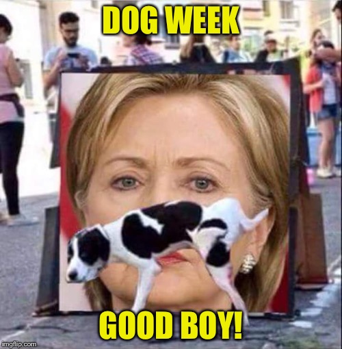 The dog says it all | DOG WEEK; GOOD BOY! | image tagged in dog peeing on hillary clinton | made w/ Imgflip meme maker