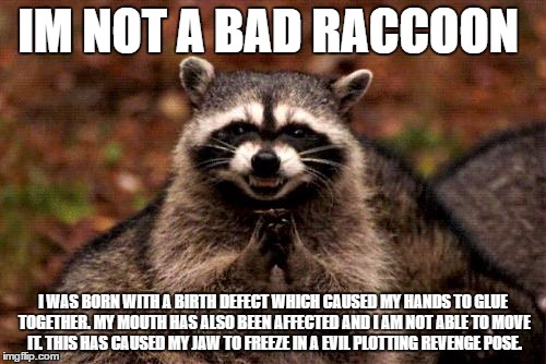 Evil Plotting Raccoon | IM NOT A BAD RACCOON; I WAS BORN WITH A BIRTH DEFECT WHICH CAUSED MY HANDS TO GLUE TOGETHER. MY MOUTH HAS ALSO BEEN AFFECTED AND I AM NOT ABLE TO MOVE IT. THIS HAS CAUSED MY JAW TO FREEZE IN A EVIL PLOTTING REVENGE POSE. | image tagged in memes,evil plotting raccoon | made w/ Imgflip meme maker