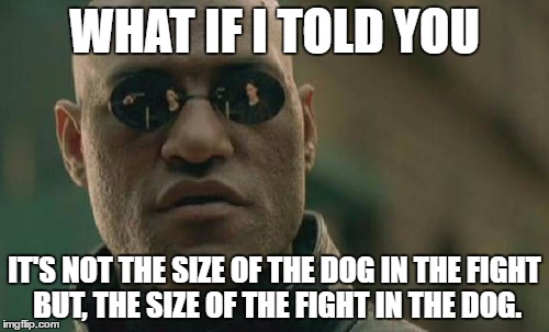 Matrix Morpheus | WHAT IF I TOLD YOU; IT'S NOT THE SIZE OF THE DOG IN THE FIGHT BUT, THE SIZE OF THE FIGHT IN THE DOG. | image tagged in memes,matrix morpheus | made w/ Imgflip meme maker