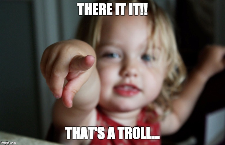 Troll | THERE IT IT!! THAT'S A TROLL... | image tagged in trolls,trolling,internet trolls,troll | made w/ Imgflip meme maker
