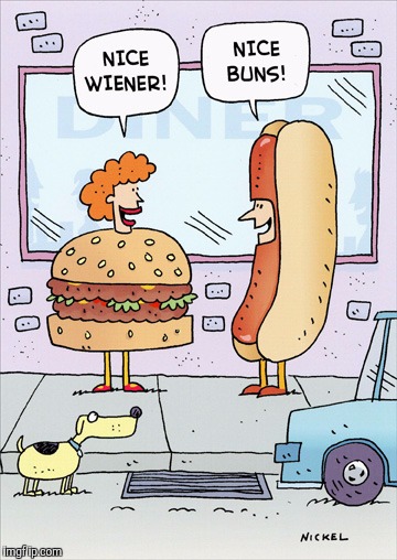 Nice buns! Hot Dog/Dog week | D | image tagged in dog week,hot dog week | made w/ Imgflip meme maker