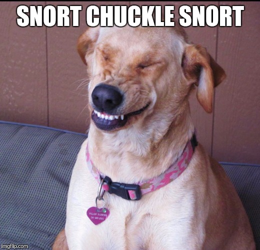 SNORT CHUCKLE SNORT | made w/ Imgflip meme maker