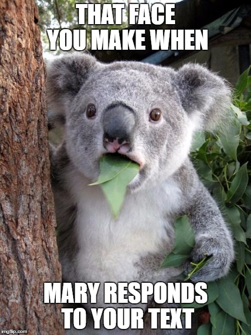 Surprised Koala | THAT FACE YOU MAKE WHEN; MARY RESPONDS TO YOUR TEXT | image tagged in memes,surprised koala | made w/ Imgflip meme maker