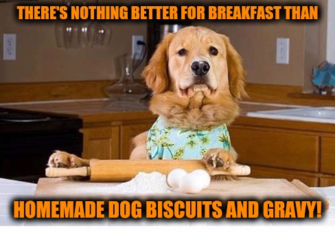 Dog Week. Breakfast time! - Imgflip