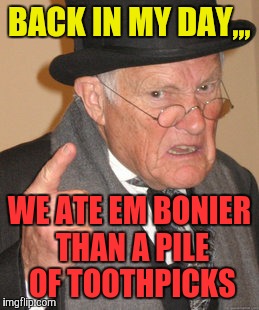 Back In My Day Meme | BACK IN MY DAY,,, WE ATE EM BONIER THAN A PILE OF TOOTHPICKS | image tagged in memes,back in my day | made w/ Imgflip meme maker