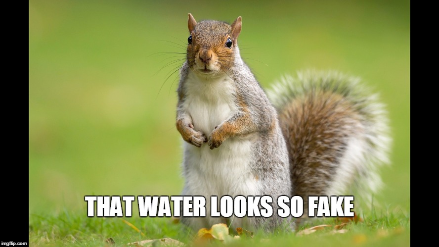 Squirrel | THAT WATER LOOKS SO FAKE | image tagged in squirrel | made w/ Imgflip meme maker