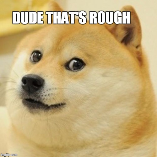 Doge Meme | DUDE THAT'S ROUGH | image tagged in memes,doge | made w/ Imgflip meme maker