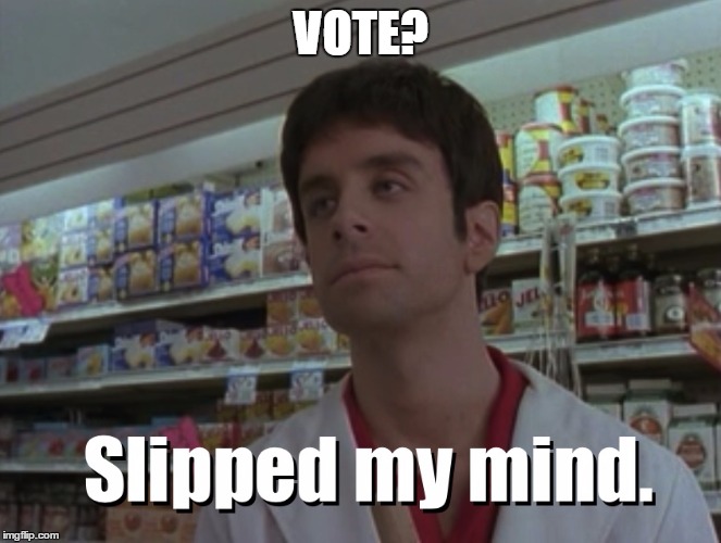 Slipped my mind | VOTE? | image tagged in slipped my mind | made w/ Imgflip meme maker