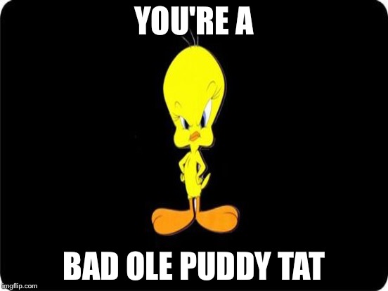 YOU'RE A BAD OLE PUDDY TAT | made w/ Imgflip meme maker