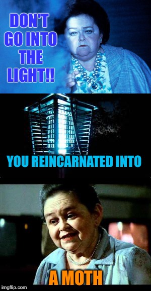 Just my luck | DON'T GO INTO THE LIGHT!! YOU REINCARNATED INTO; A MOTH | image tagged in memes | made w/ Imgflip meme maker