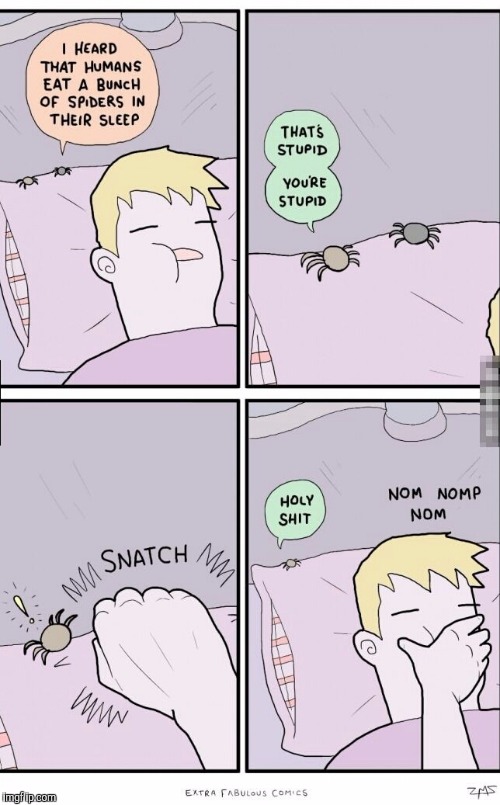 Spiders | image tagged in memes,funny | made w/ Imgflip meme maker