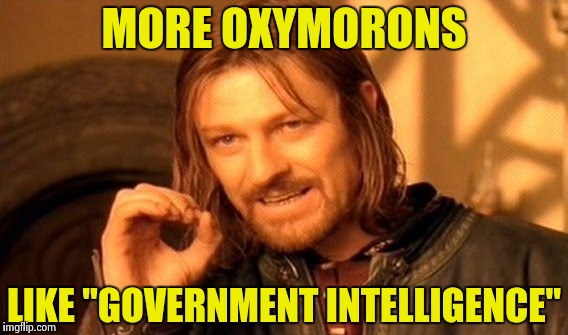 One Does Not Simply Meme | MORE OXYMORONS LIKE "GOVERNMENT INTELLIGENCE" | image tagged in memes,one does not simply | made w/ Imgflip meme maker