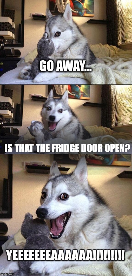 Bad Pun Dog Meme | GO AWAY... IS THAT THE FRIDGE DOOR OPEN? YEEEEEEEAAAAAA!!!!!!!!! | image tagged in memes,bad pun dog | made w/ Imgflip meme maker